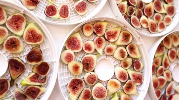 Sliced Fresh Ripe Red Figs Lie Drying Trays High Quality — ストック動画