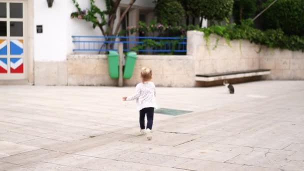 Little Girl Runs Yard House Cat Which Runs Away Her — Vídeos de Stock
