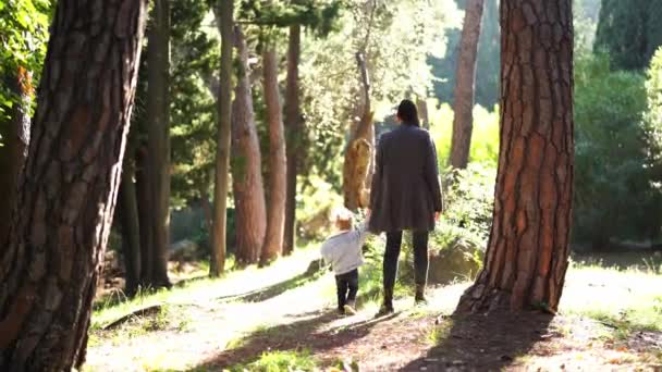 Мати Маленька Дівчинка Йдуть Через Ліс Тримаючись Руки Високоякісні Кадри — стокове відео