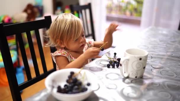 Little Girl Puts Grapes Cup While Sitting Table High Quality — Video Stock