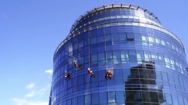 Industrial climbers hanging from ropes on a skyscraper and washing windows. High quality 4k footage