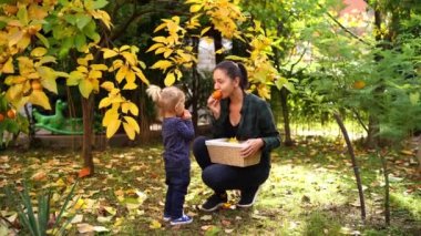 Mom with a little girl eat a ripe persimmon in the autumn garden. High quality 4k footage