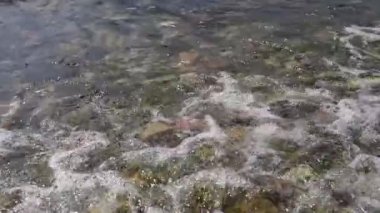 Kayalık bir sahilde deniz sörfü yapıyor. Yakın plan. Yüksek kaliteli FullHD görüntüler