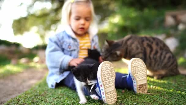 Mała Dziewczynka Siada Trawie Zwierzaki Kocięta Które Lizane Przez Kota — Wideo stockowe