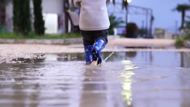 Little Girl Walks Rubber Boots Puddles Park High Quality Footage — Vídeo de Stock