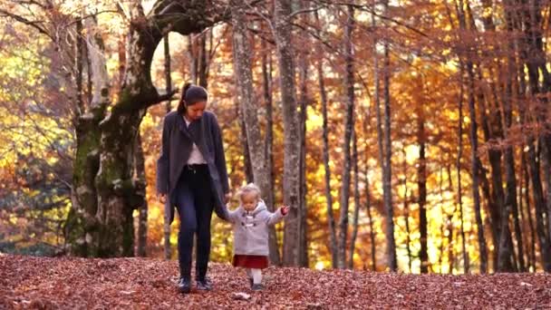 Mała Dziewczynka Matką Idzie Rękę Przez Upadłe Liście Jesiennym Parku — Wideo stockowe