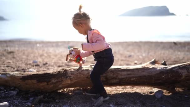 Bambina Conduce Peluche Lungo Intoppo Legno Sulla Spiaggia Filmati Alta — Video Stock