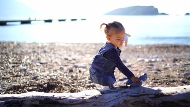 Niña Jugando Con Muñecas Cerca Tronco Árbol Tirado Playa Imágenes — Vídeos de Stock