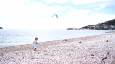 Little girl walks along the pebble beach to the sitting birds. High quality 4k footage