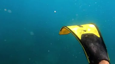 Man swims underwater with yellow flippers. High quality FullHD footage