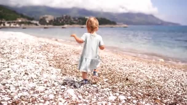 Little Girl Dress Walks Pebbly Beach Bends Pebble Back View — Stock video