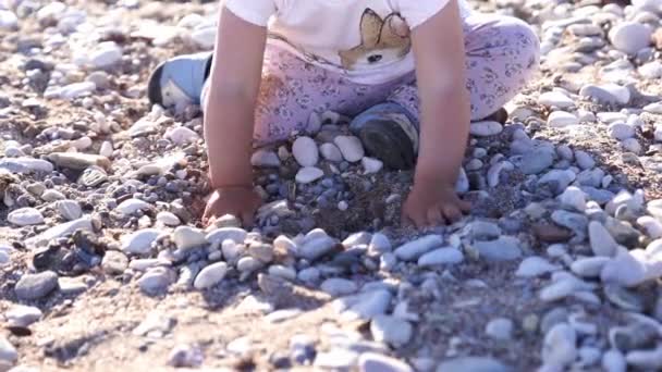 어린아이들은 조약돌 해변에 손으로 모래와 자갈을 다음흔들어 댑니다 고품질 — 비디오