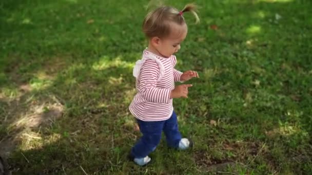Κοριτσάκι Περπατάει Στο Πράσινο Γρασίδι Στο Πάρκο Ισορροπώντας Χέρια Της — Αρχείο Βίντεο