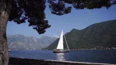 View from the shore through the branches of a tree to a sailboat moored in the sea. High quality FullHD footage
