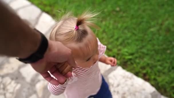 Little Girl Walks Path Garden Holding Her Father Hand High — Stockvideo