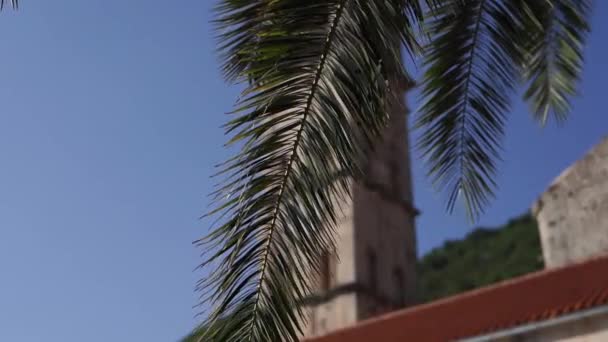 Aziz Niklas Kilisesi Nin Yüksek Çan Kulesindeki Palmiye Yaprağından Bakın — Stok video
