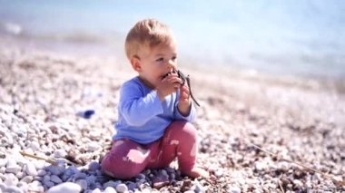 Small baby sits on a pebble beach by the sea and nibbles on a pine cone. High quality 4k footage