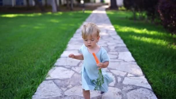 Ένα Κοριτσάκι Ένα Καρότο Στο Χέρι Περπατάει Στον Κήπο Υψηλής — Αρχείο Βίντεο