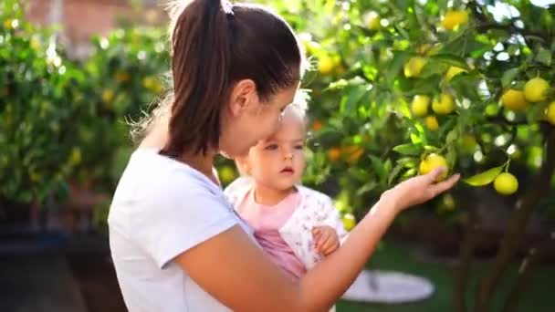 Μαμά Δείχνει Ένα Κοριτσάκι Κάθεται Στα Χέρια Της Λεμόνια Ένα — Αρχείο Βίντεο