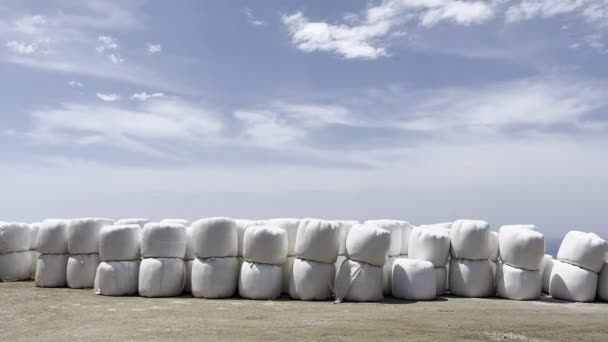 White Bales Grass Stacked Row Ground Sky High Quality Footage — Stockvideo