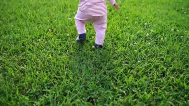 Küçük bebek yeşil çimlerin üzerinde yürüyor, elleriyle dengede duruyor. Arkadan bak. Yüksek kaliteli FullHD görüntüler