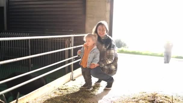 Mom Little Girl Standing Farm Next Goat Paddock High Quality — Stockvideo