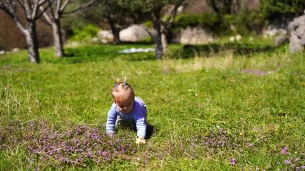 Little Girl Crawls Green Lawn Piece Apple Her Hand High — Stock videók
