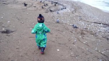 Little girl in overalls goes to the pigeons along the sandy beach near the sea. High quality 4k footage