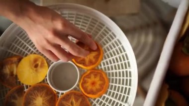 Housewife lays out sliced persimmons on a fruit drying tray. High quality 4k footage
