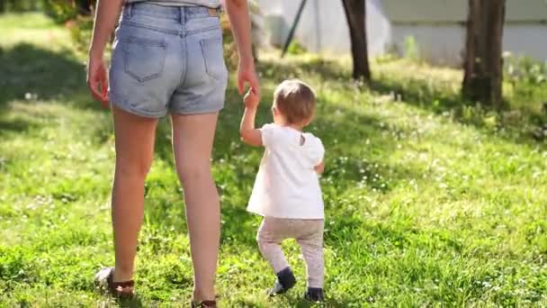 Mom Little Girl Walking Holding Hands Green Grass High Quality — Stock Video