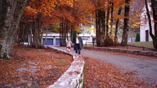 Mom Leads Little Girl Stone Curb Autumn Park Holding Her — Video