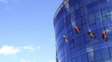 Industrial climbers hang from ropes and clean windows in a high-rise building. High quality 4k footage