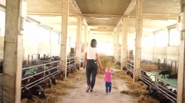 Mom and little girl walk through the farm past goats in pens eating hay. High quality 4k footage