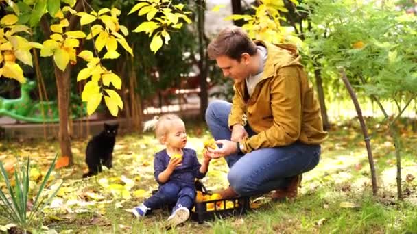 Dad Treats Little Girl Persimmons Garden High Quality Footage — Stock Video