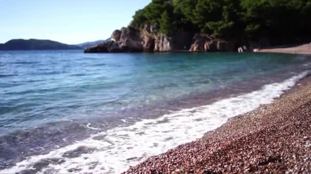 Mořské Vlny Valí Oblázkové Pláži Úpatí Zalesněného Kopce Vysoce Kvalitní — Stock video