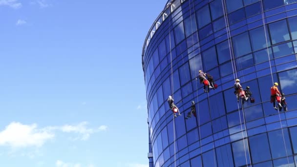 産業用登山者はロープや高層ビルのきれいな窓からぶら下がっています 高品質4K映像 — ストック動画