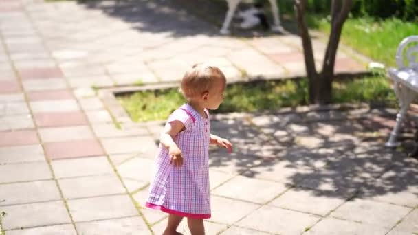 Little Girl Walks Park Tiles Bench Which Cats Lie High — Stockvideo