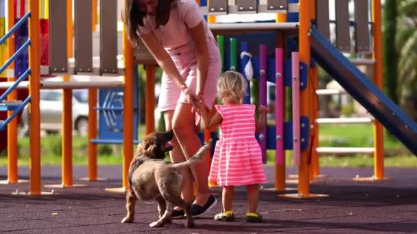 Little Girl Goes Slide While Her Mom Walks Dog High — Videoclip de stoc