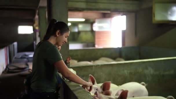 Mom Little Girl Her Arms Feeds Herd Young Piglets Cabbage — Stok video