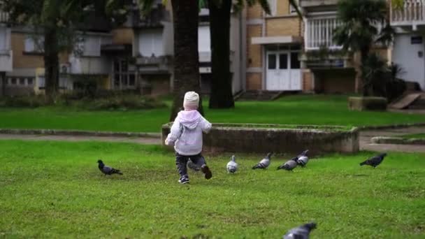 女の子は高層ビルの近くの緑の芝生の上でハトの後を実行します 高品質4K映像 — ストック動画