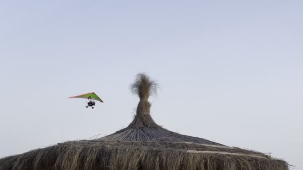 Hang Glider Flies Beach Straw Sun Umbrellas High Quality Footage — Stock video