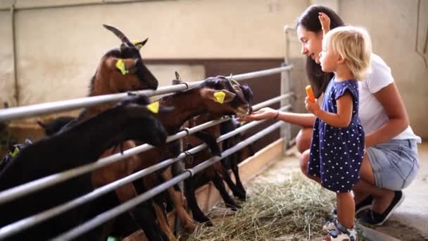 Mama Małą Dziewczynką Karmiącą Kozy Marchewką Pastwisku Farmie Wysokiej Jakości — Wideo stockowe