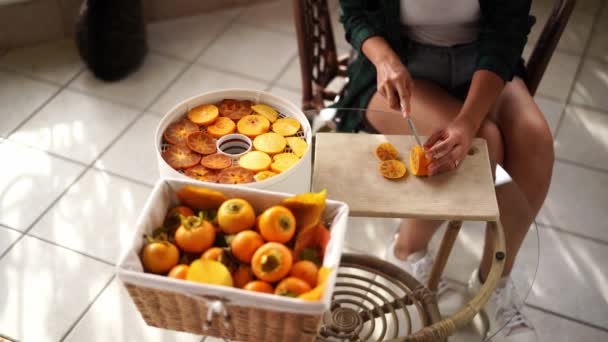 Housewife Cuts Persimmon Pieces Table Fruit Dryer High Quality Footage — Vídeo de stock