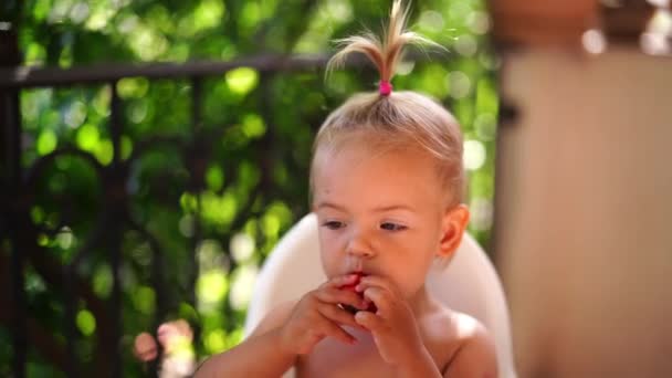 Little Girl Eats Big Strawberry Holding Both Hands High Quality — Vídeos de Stock