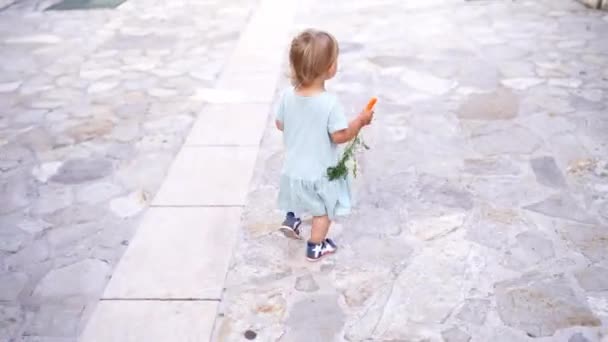 Маленька Дівчинка Морквою Руці Йде Через Плитковий Двір Ґраткових Воріт — стокове відео