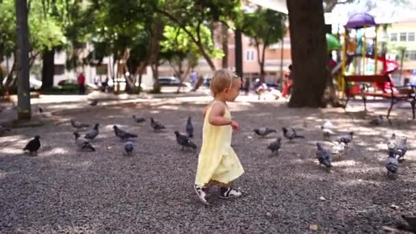 Meisje Wandelend Het Park Tussen Een Kudde Duiven Hoge Kwaliteit — Stockvideo