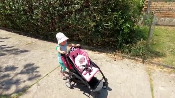 Little Girl Panama Rolls Plush Hare Stroller Path Park High — Vídeos de Stock