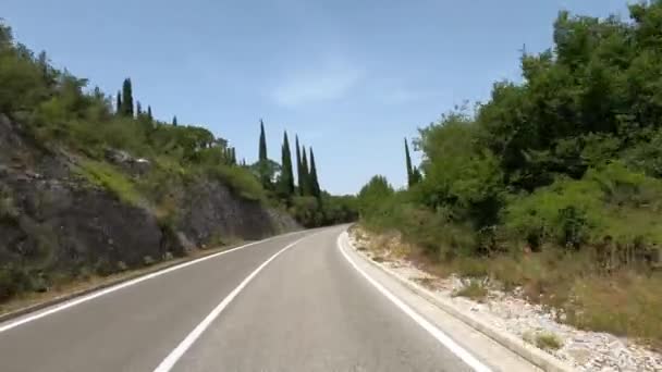 과푸른 나무들 사이의 도로에서 고품질 — 비디오