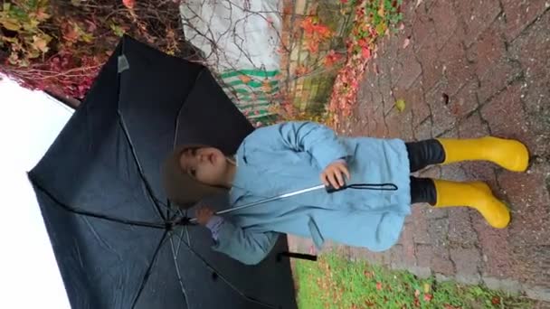 Liten Flicka Med Paraply Står Regnet Asfalterad Stig Och Ser — Stockvideo