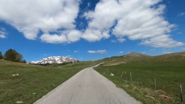 Road Green Pastures Snow Capped Mountains Horizon High Quality Footage — Wideo stockowe